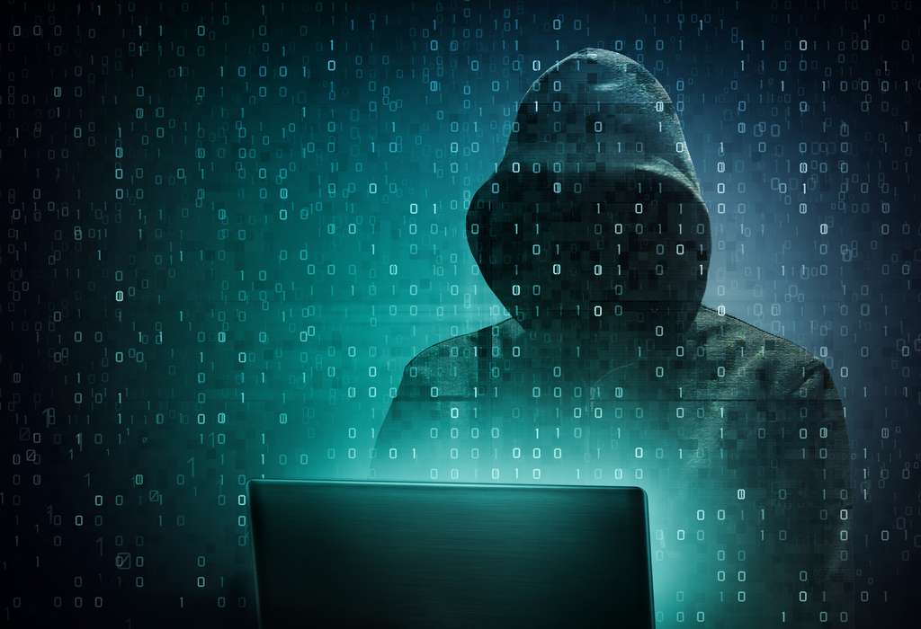 Les cybercriminels ciblent les particuliers comme les entreprises via des logiciels malveillants. © Adimas, Fotolia