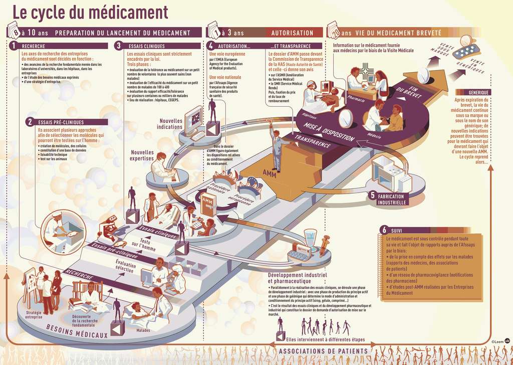 The drug cycle. The first stages of research (1, 2 and 3) allow the drug to be developed. When marketing authorization is obtained (4), the drug is marketed (5), always under surveillance (6). © Leem