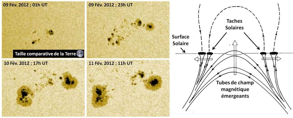 Apparition et évolution d’un groupe de taches à la surface solaire (à gauche) observé par le satellite Soho. À droite, un schéma explique leur structure magnétique. © SDO, Nasa