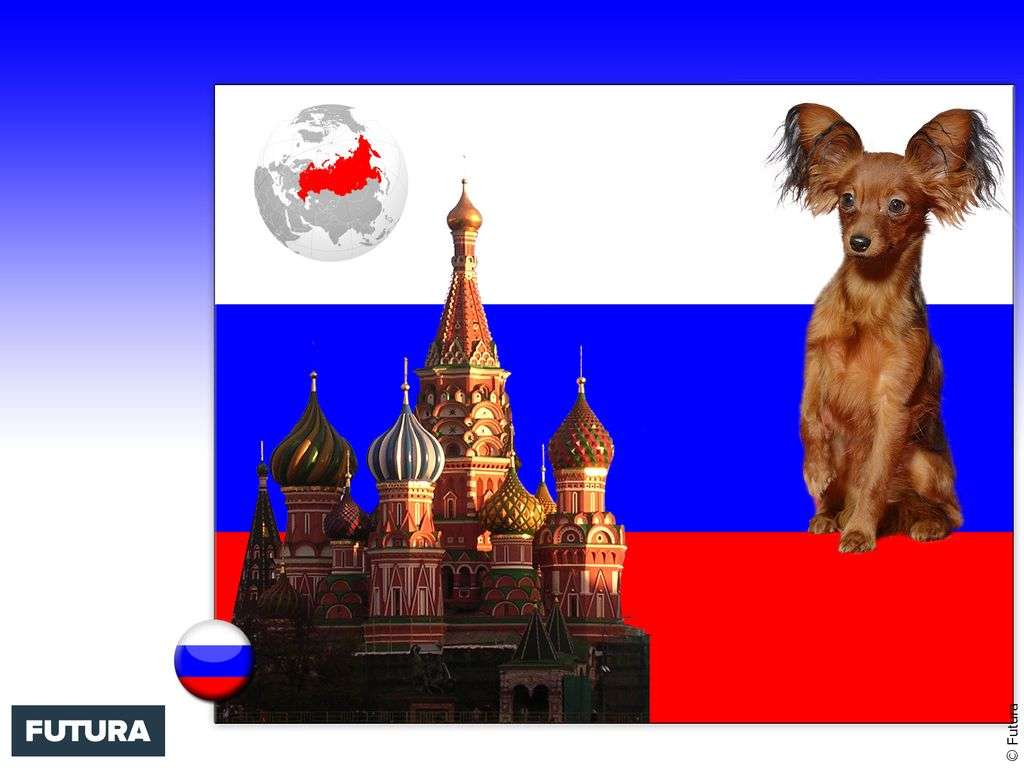 Fond D Ecran Drapeau Russie