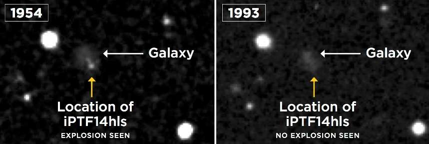 Cette photo d'archive montre qu'une supernova s'était déjà produite il y a soixante ans environ, à l'endroit même où iPTF14hls a été observée sur la voûte céleste. © S. Wilkinson, POSS, DSS, LCO