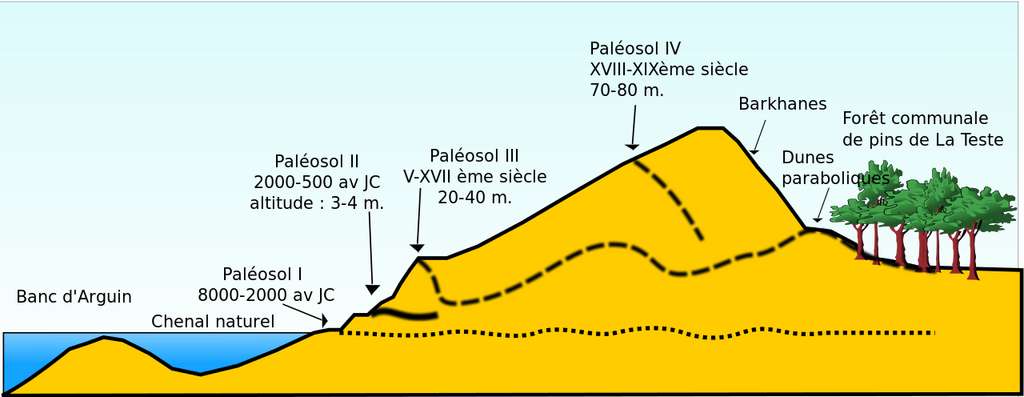 Schéma en coupe de la dune du Pilat et présence des différents paléosols. © SanchoPanzaXXI, Wikimedia Commons, CC by-sa 2.5