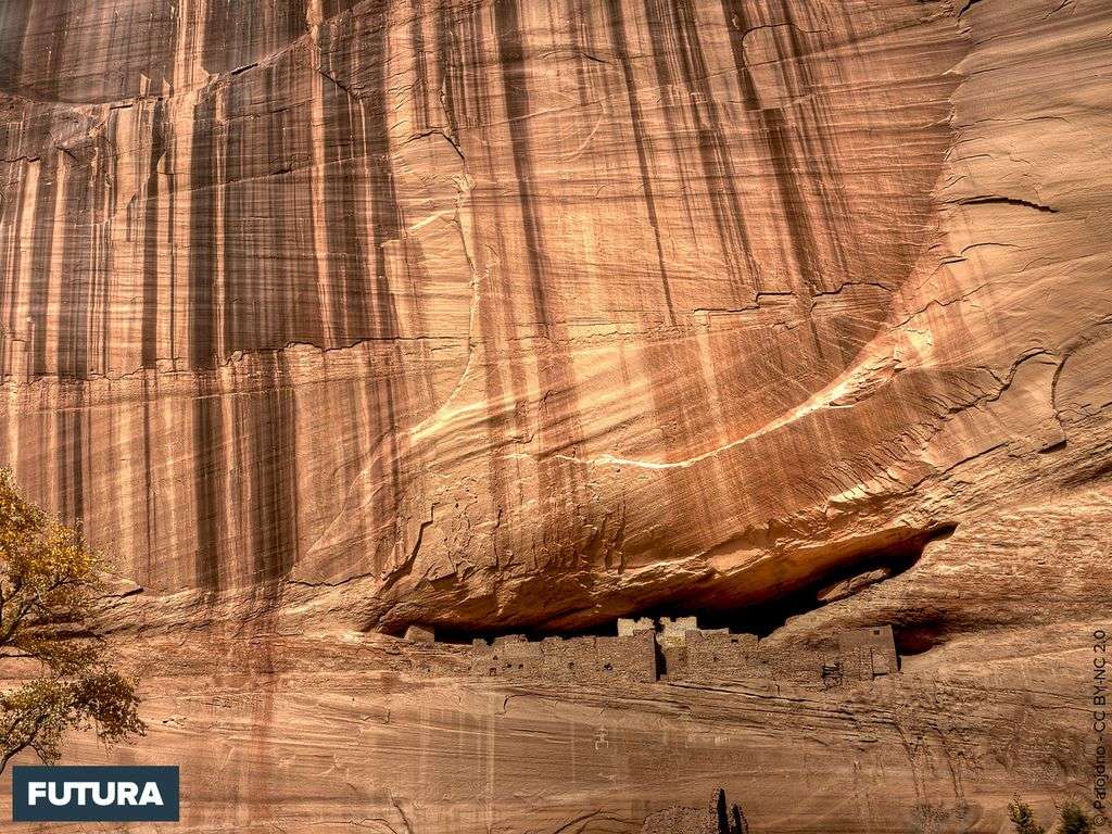 Habitations Navajo dans le Canyon de Chelly Arizona