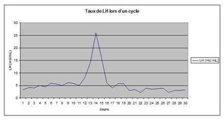 Le pic de LH précède l'ovulation de 30 h environ. Graphique construit à partir des données issues de la banque de schémas de SVT de l'académie de Dijon (http://svt.ac-dijon.fr/schemassvt/article.php3?id_article=1897).