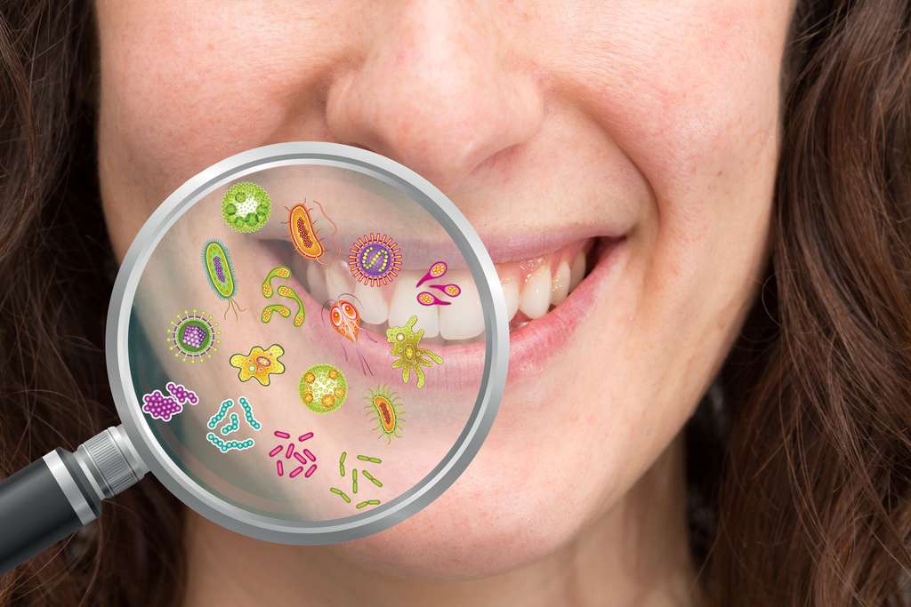 Notre microbiote oral remplit des fonctions fondamentales qui sont nécessaires au moins depuis Néandertal. © Alessandro Grandini, Adobe Stock