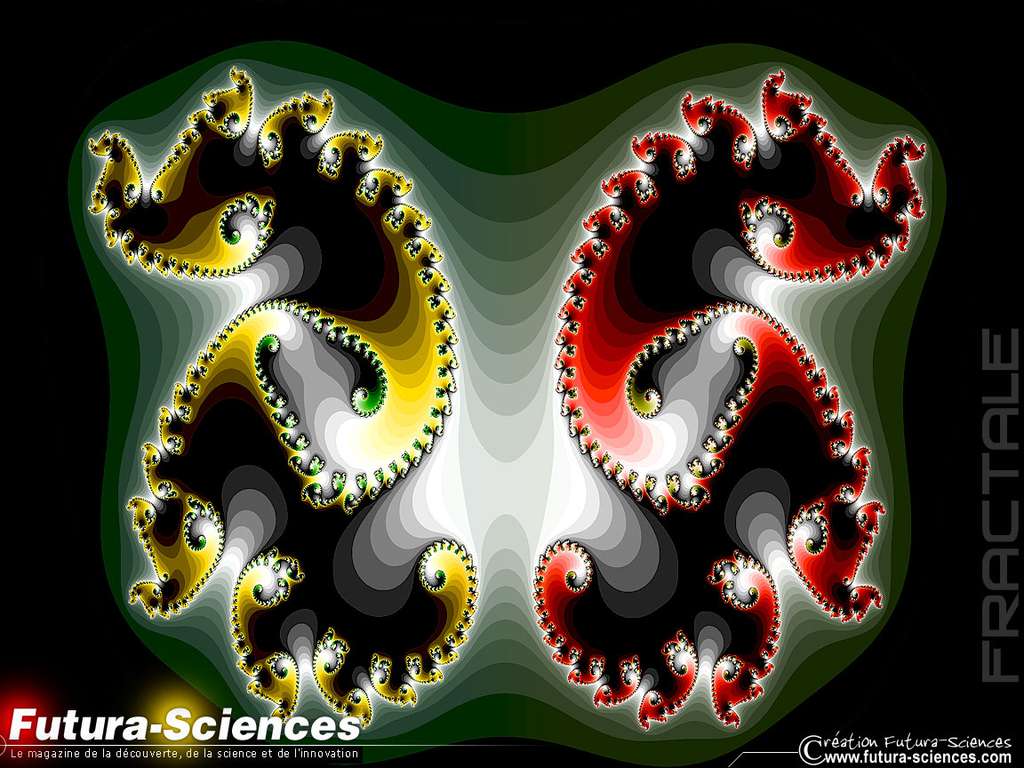 Fractale Hippocampe Fractale Hippocampe