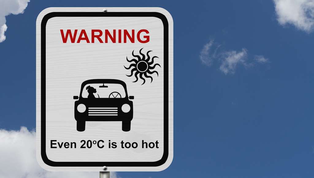 Ce panneau nous met en garde, pour un chien – ou un autre animal – laissé dans une voiture, attention, même 20 °C de température extérieure, c’est trop chaud. © Karen Roach, Fotolia