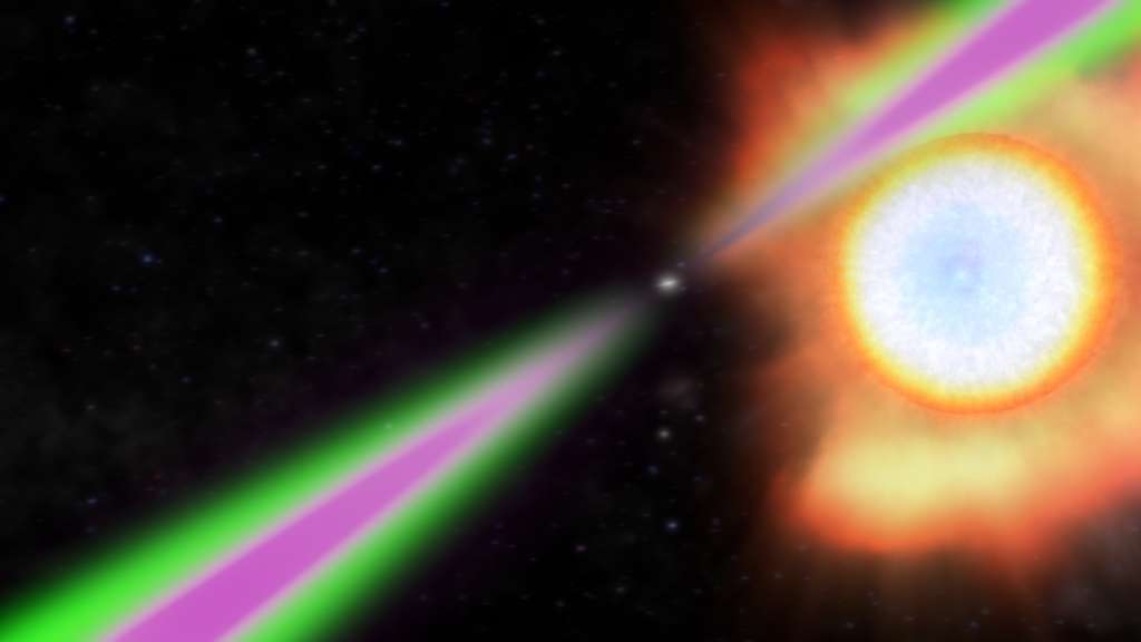  Une étoile à neutrons en rotation éjecte périodiquement ses faisceaux radio (vert) et gamma (magenta) devant la Terre dans le concept de cet artiste d'un pulsar veuve noire. L'étoile à neutrons chauffe le côté opposé de son partenaire stellaire (à droite) à des températures plus chaudes que la surface du soleil et l'évapore lentement. © Nasa's Goddard Space Flight Center