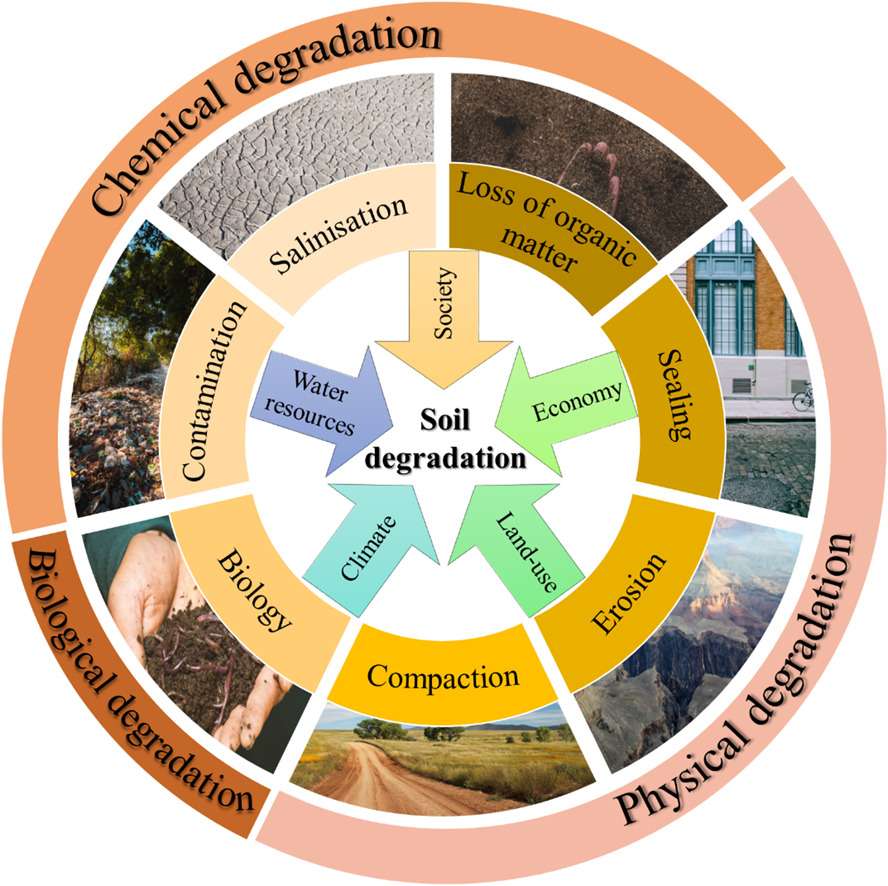 Les différents facteurs impactant la dégradation des sols. © Ferreira et al., 2022, CC by-nc-nd 4.0