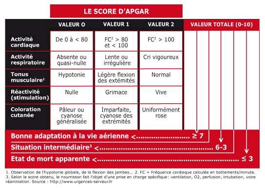 Les Premiers Instants Test D Apgar Et Respiration Dossier