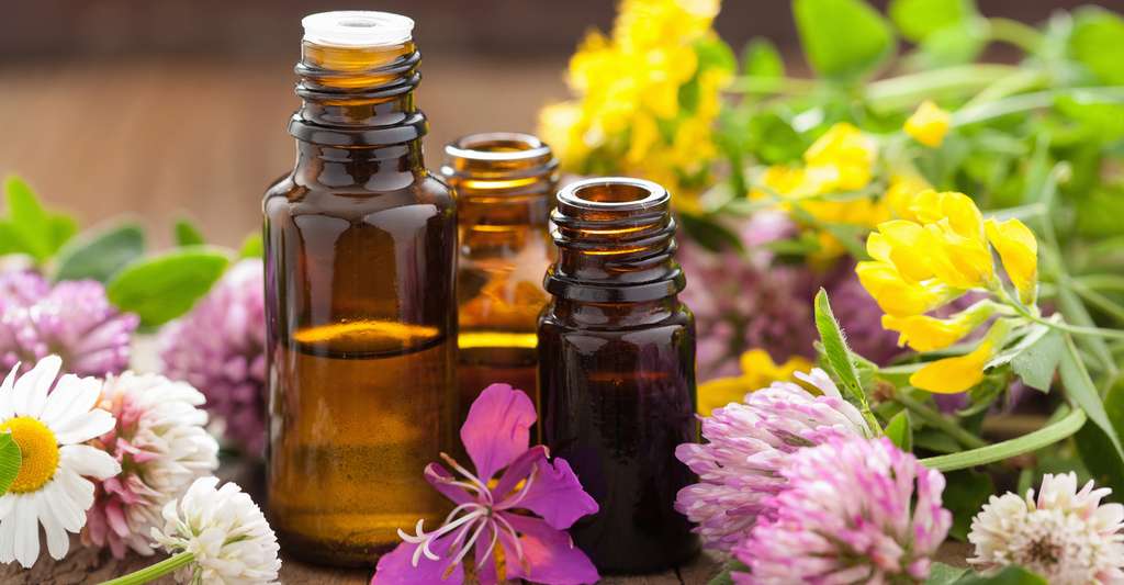 Certaines huiles essentielles sont efficaces dans le soulagement des symptômes. © Olga Miltsova Shutterstock