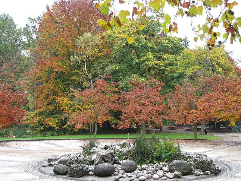 Le parc floral de Paris en automne Le parc floral de Paris en automne