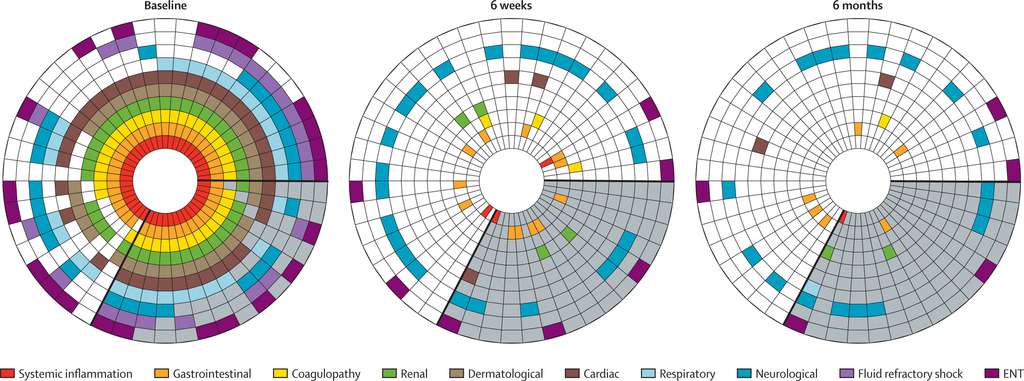 L'ensemble des symptômes observés chez les enfants atteints du PIM-TS/MISC et leur évolution à six semaines et six mois. La partie grisée indique des enfants de plus de 12 ans. © Justin Penner et al. The Lancet Child & Adolescent Health