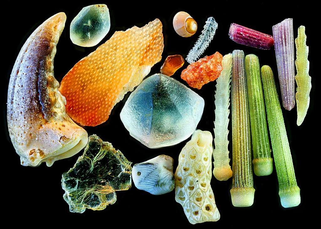 Sur le sable, au bord de l’eau Sur le sable, au bord de l’eau