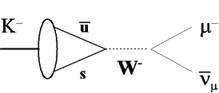 Un kaon négatif, K-, peut se désintégrer en un muon et un antineutrino. On sait maintenant que ce processus est possible parce que la conversion d'un des quarks le composant en un autre s'accompagne de l'émission d'un boson W-. Ici, un antiquark up s'annihile avec un quark étrange, s, en donnant ce boson. Instable, lui-même se désintègre en muon négatif et antineutrino. Crédit : Stephen D. Ellis