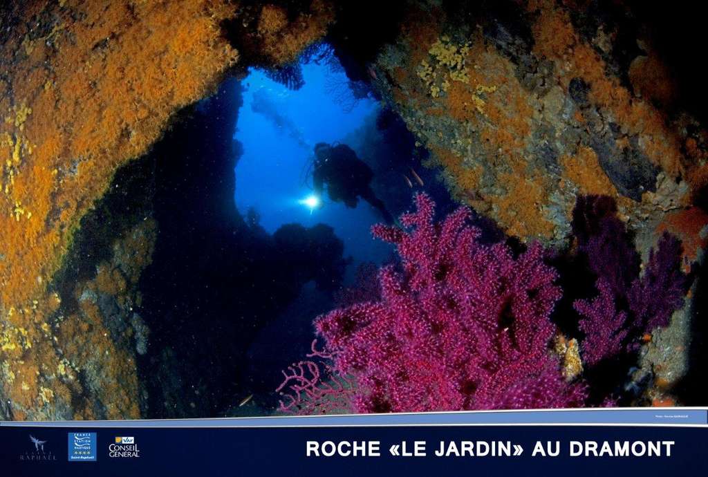 Le jardin du Dramont Le jardin du Dramont