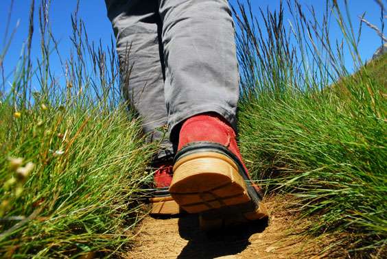 When hiking, to escape ticks, wear covering clothes.  © Fotolia