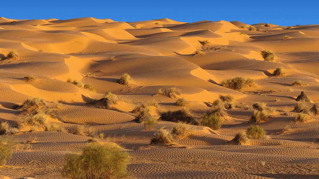 Tunisie, les dunes de Ksar Ghilane Tunisie, les dunes de Ksar Ghilane
