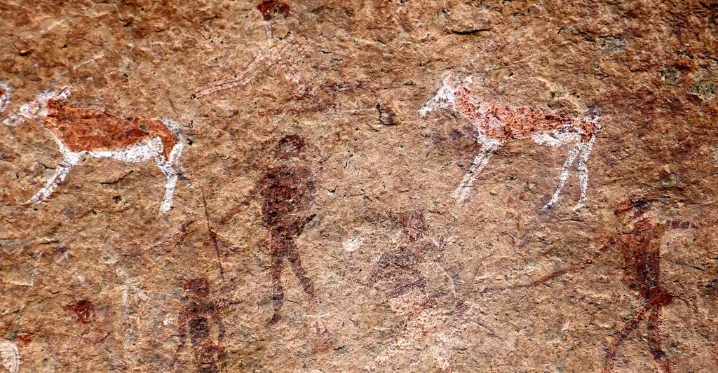 Peintures rupestres San dans le massif du Brandberg en Namibie. © Ji-Elle, Wikimedia commons, CC by-sa 4.0