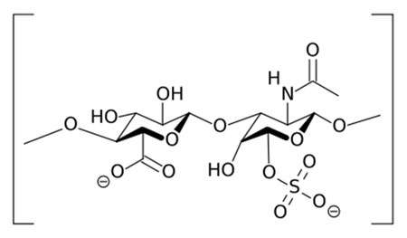 Motif de base de la chondroïtine sulfate. La chondroïtine sulfate est un polysaccharide composé de la répétition d'un motif composé d'une molécule de glucuronate (à gauche) et d'une molécule d'N-acétyl-galactosamine sulfate (à droite). © Wikimedia Commons, domaine public