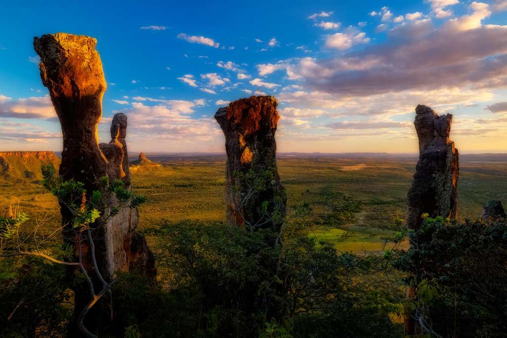 Sur les hauts plateaux du Cerrado Sur les hauts plateaux du Cerrado