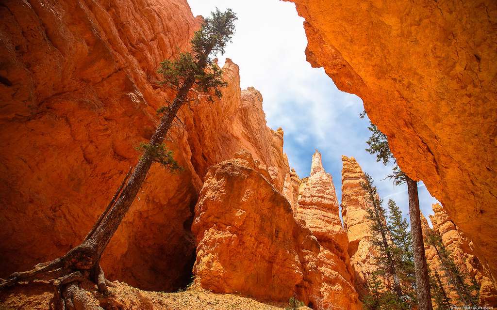 Le Bryce Canyon, dans l'Utah Le Bryce Canyon, dans l'Utah