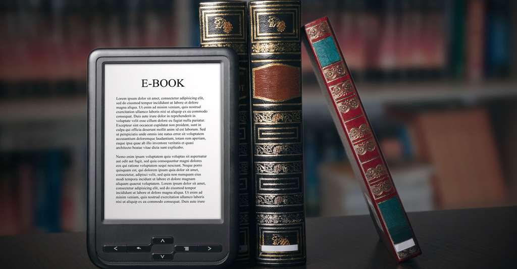 L'ebook, le livre électronique. © Piotr Adamowicz, Fotolia