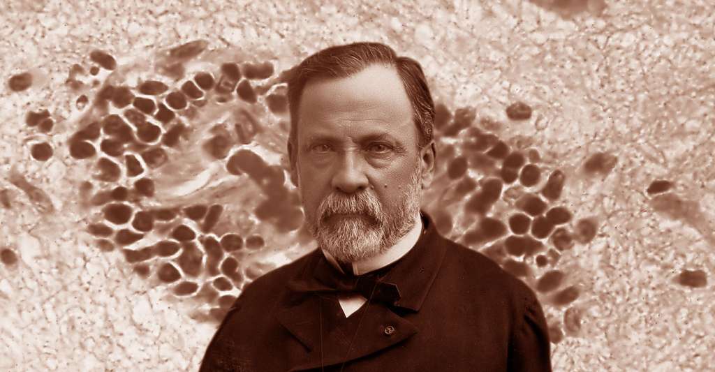 Louis Pasteur (1822-1895) était microbiologiste et chimiste. © Wellcome Images CC by 4.0