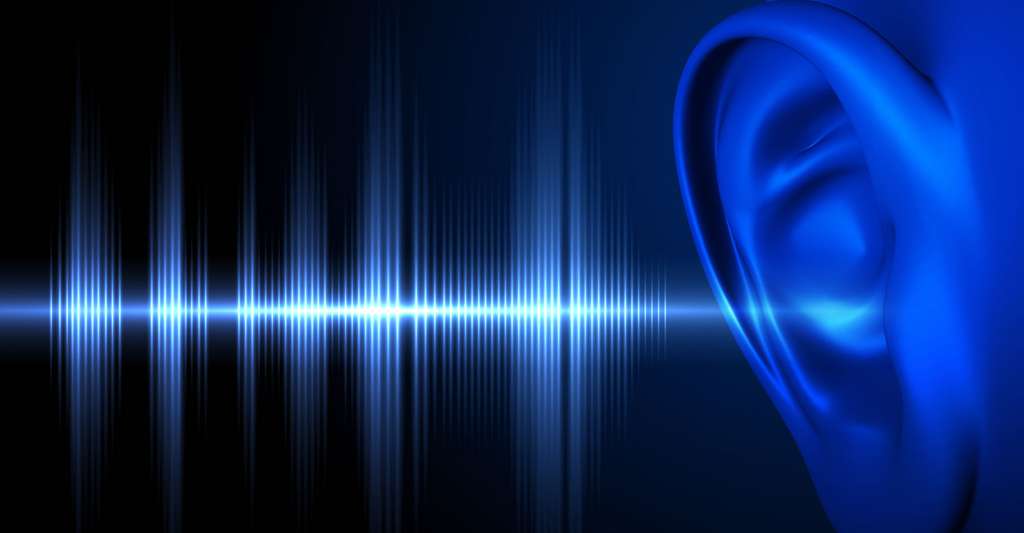 How is tinnitus transmitted?  © Tatiana Shepeleva, Shutterstock
