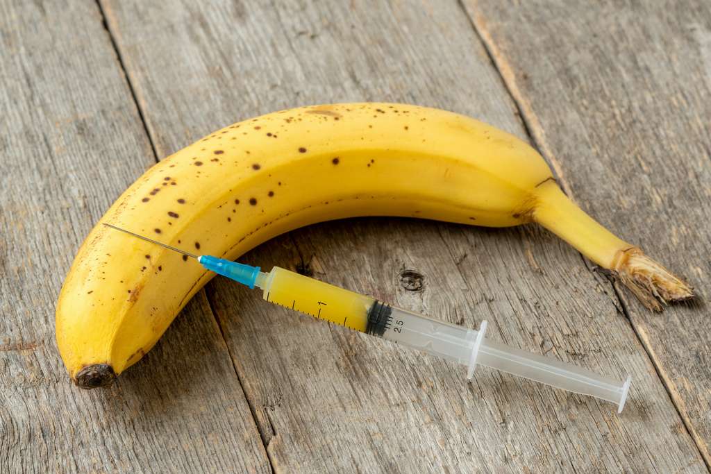 Va-t-on un jour se vacciner en mangeant des bananes ? En modifiant génétiquement les fruits, on peut leur faire produire des antigènes protégeant contre certains virus. © graja, Adobe Stock