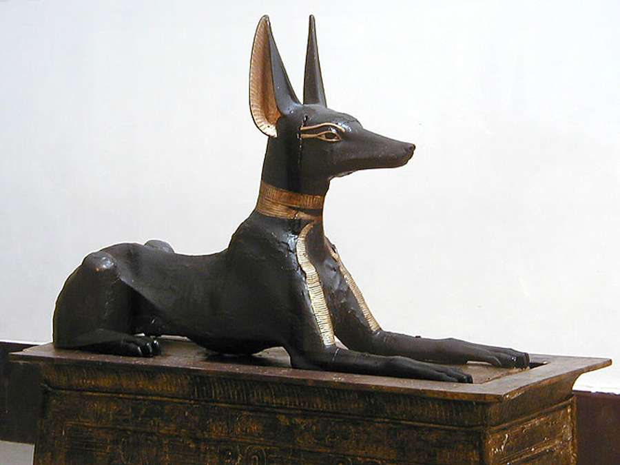Anubis sous forme canine Anubis sous forme canine