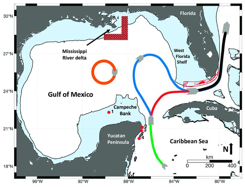Le Loop Current dans le golfe du Mexique avec, en gris, les terres. En vert, l'entrée du courant dans le golfe, en rouge la version retractée du courant, et en bleu la version étendue du courant comme en 2022. © ResearchGate