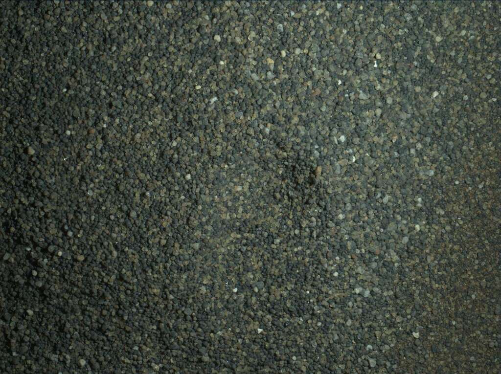 Échantillon extrait du premier prélèvement de sable noir de la dune de Namib, sur Mars. Après être passés dans un tamis, ces grains de moins de 150 micromètres, éclairés par des Led, ont été imagés de nuit, le 22 janvier, avec la caméra Mahli. © Nasa, JPL-Caltech, MSSS