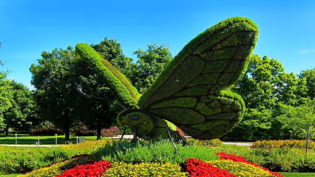 Le papillon de Comesse, première mosaïculture du monde Le papillon de Comesse, première mosaïculture du monde