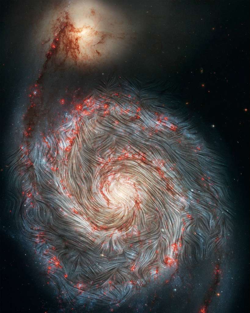 Les lignes de champ magnétique détectées par Sofia sont superposées sur une image de fond de la galaxie du Tourbillon, M51, prise avec le télescope spatial Hubble de la Nasa. Pour la première fois, la vue infrarouge de Sofia montre que les champs magnétiques dans les bras extérieurs ne suivent pas la forme en spirale de la galaxie et sont au contraire déformés. L'activité intense de formation d'étoiles dans ces régions, représentée en rouge, peut être à l'origine du chaos. © Nasa, the Sofia science team, A. Borlaff; Nasa, ESA, S. Beckwith (STScI) and the Hubble Heritage Team (STScI/AURA)
