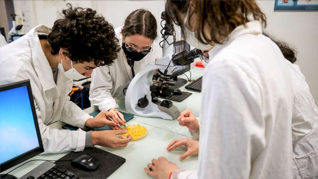 Un cours de biologie au lycée Berthelot de Toulouse impliquant l'étude du blob. © F. Quignaux, Cnes