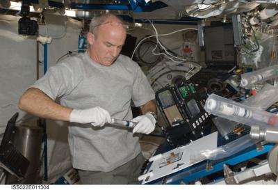 L'astronaute Jeff Williams dans l'ISS : les ondulations et inclinaisons des racines se produisent sur les vols spatiaux et donc indépendamment de la gravité. © Nasa