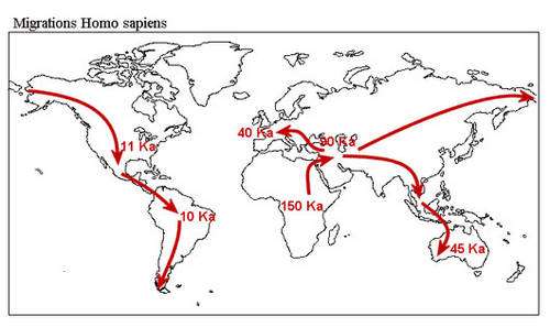 Migrations d'Homo sapiens. © DR