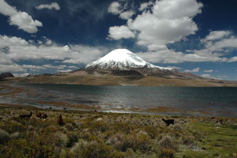 Volcan Parinacota Chili Volcan Parinacota Chili