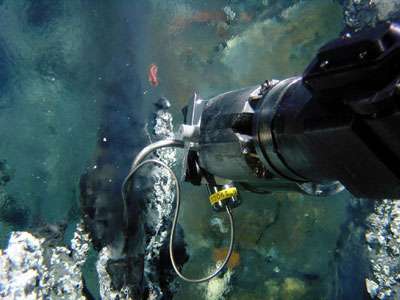 Prélèvements et mesures sur une source hydrothermale par le bras télémanipulateur du Victor 6000, par 2630 mètres de fond. © Ifremer - Tous droits réservés