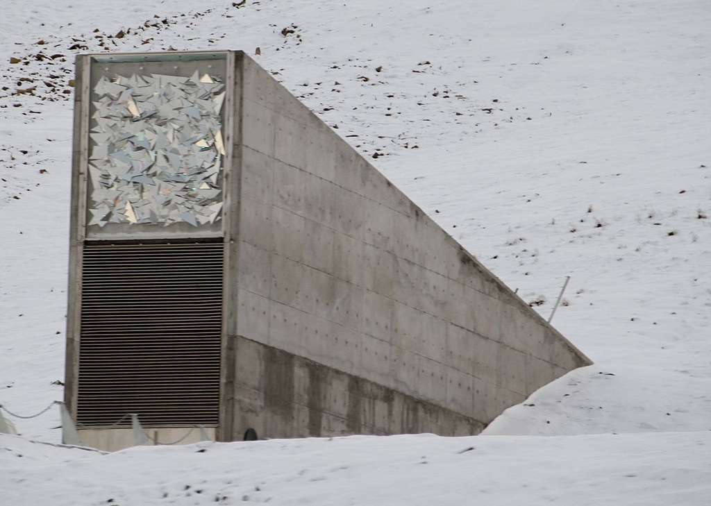 Cdn Futura Sciences Com Buildsv6 Images Mediumoriginal D D 9 Dd9631b60b Svalbard Seed Vault Wikipediajpg Jpg Cdn Futura Sciences Com Buildsv6 Images Mediumoriginal D D 9 Dd9631b60b Svalbard Seed Vault Wikipediajpg Jpg