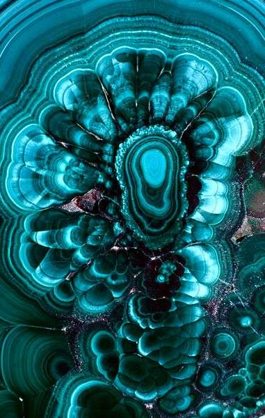 Splendide malachite et ses verts bleutés Splendide malachite et ses verts bleutés