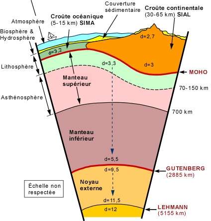 La lithosphère se compose de la croûte terrestre et d'une partie du manteau supérieur. Ces deux parties sont séparées par la discontinuité de Mohorovičić (Moho). Elle descend à de plus grandes profondeurs sous les croûtes continentales. Les valeurs indiquées par les d donnent les densités. © Université de Laval
