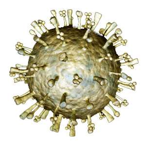 Les lentivirus forment un genre de rétrovirus. On compte le VIH parmi eux. Ils ont la particularité d'incorporer leur génome dans celui des cellules qu'ils infestent. Ils servent de vecteurs en thérapie génique pour qu'ils insèrent un gène humain d'intérêt, ici ABCA4, pour traiter une maladie. © AJC1, Flickr, cc by nc sa 2.0