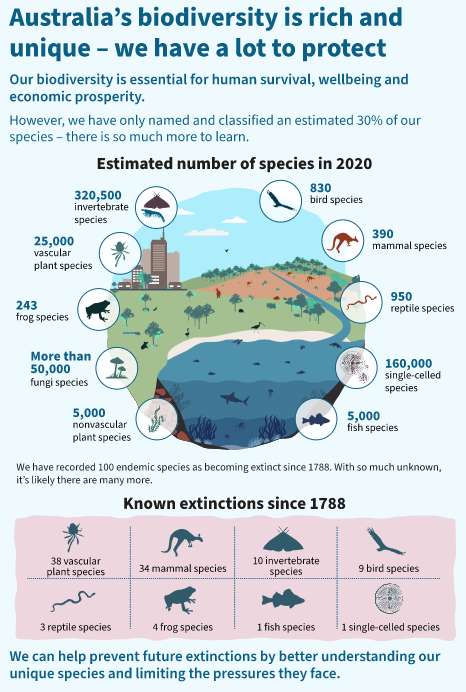 In Australia, too many species, animals, but also plants, are in danger.  © Australia State of the Environment 2021 