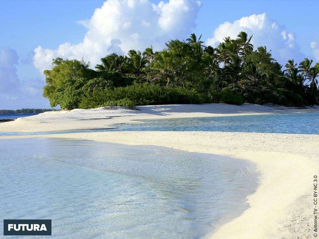 Plage de sable blanc aux Tuamotu