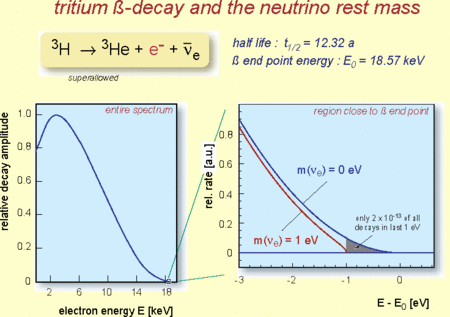 La forme terminale du spectre des électrons de la désintégration bêta d'un neutron renseigne sur la masse du neutrino électronique. En bleu, la courbe pour un neutrino sans masse et en rouge celle pour une masse au repos de 1 eV. © Université de Karlsruhe