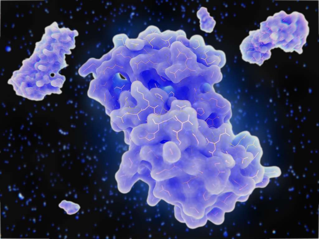 Les cytokines sont des protéines inflammatoires produites par les cellules immunitaires pour combattre les infections, mais qui peuvent causer de gros dégâts lorsqu’elles sont en excès. © Juan Gärtner, Adobe Stock