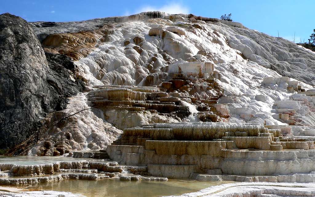 Les Mammoth Hot Springs, au parc national de Yellowstone Les Mammoth Hot Springs, au parc national de Yellowstone