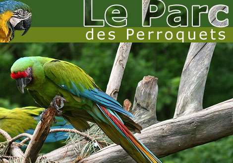 escapade le parc des perroquets